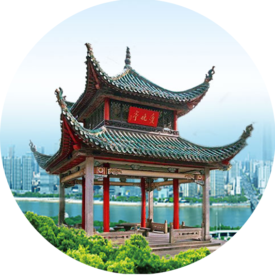会议日程