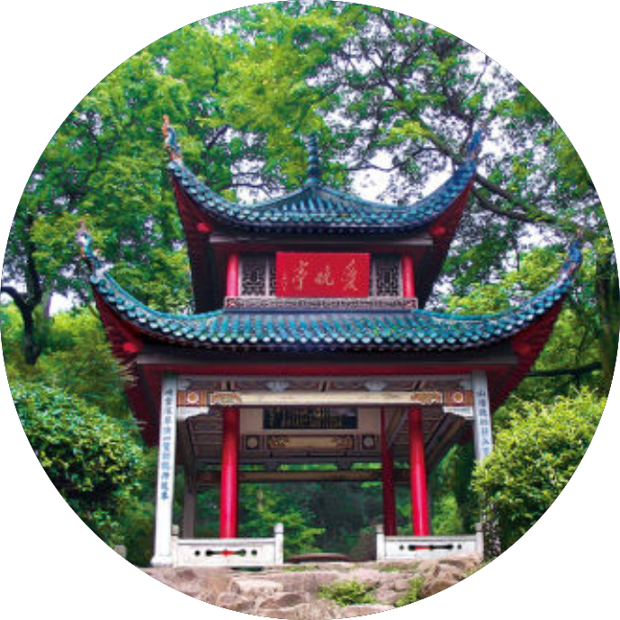 会议信息