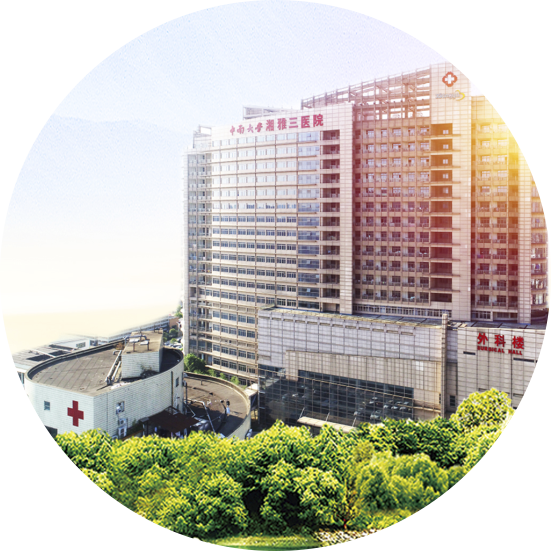专家介绍